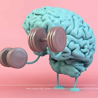 3D Brain